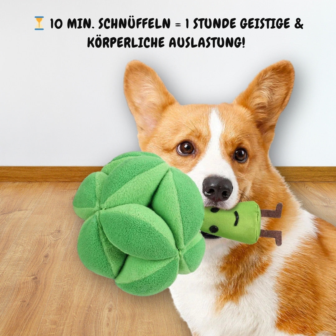 Brokkoli Buddy™ - Bewegt, Belohnt, Bereichert