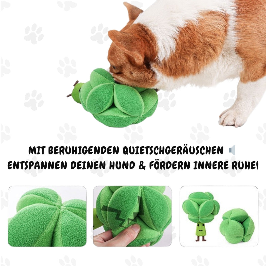 Brokkoli Buddy™ - Bewegt, Belohnt, Bereichert