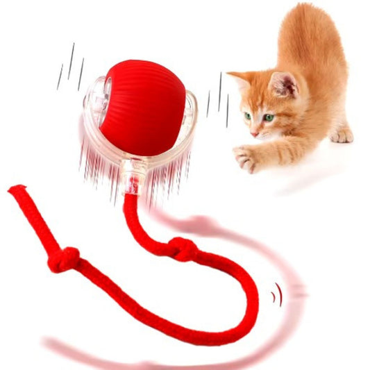 Zappel Ball™ Katzenjagd Spielzeug